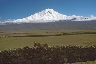 Arche Noah entsteht neu am Ararat